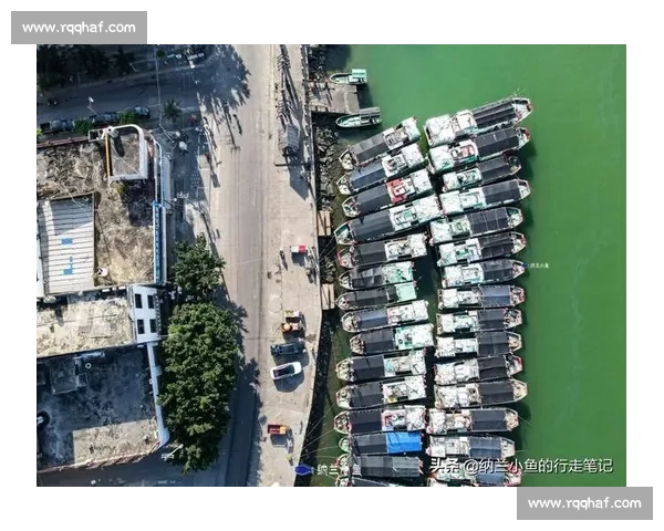 经典瞬间见证时代风云与永恒记忆的辉煌时刻回眸历史光影交汇心动篇章