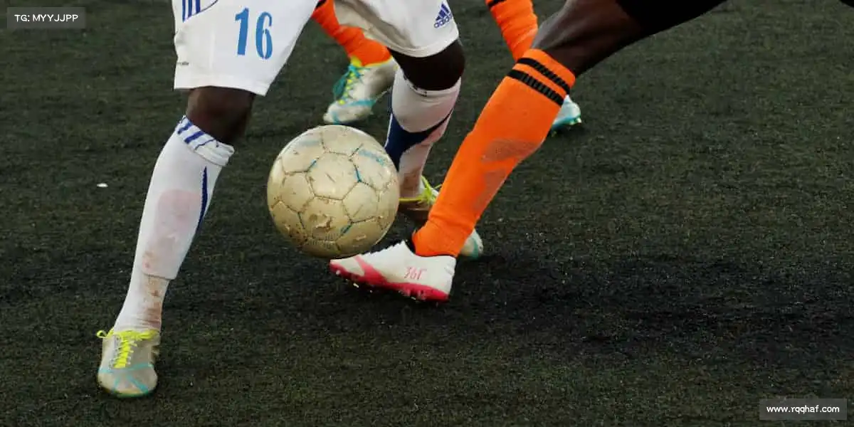 我们的品牌价值